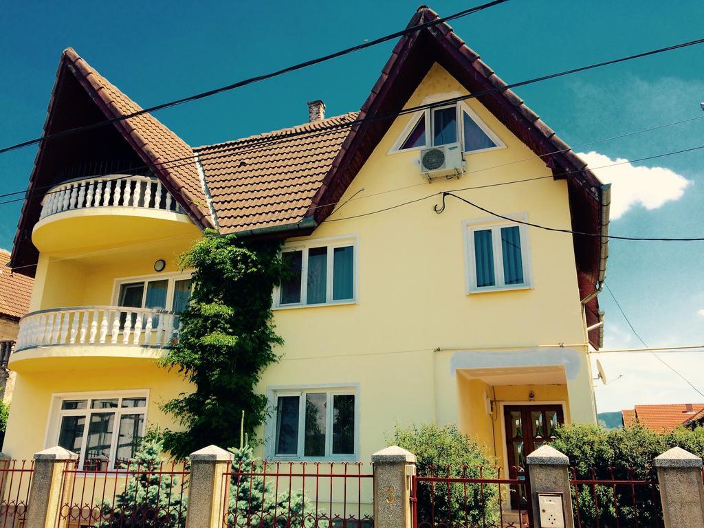 Pensiunea Vila Silva I Haţeg Exterior foto