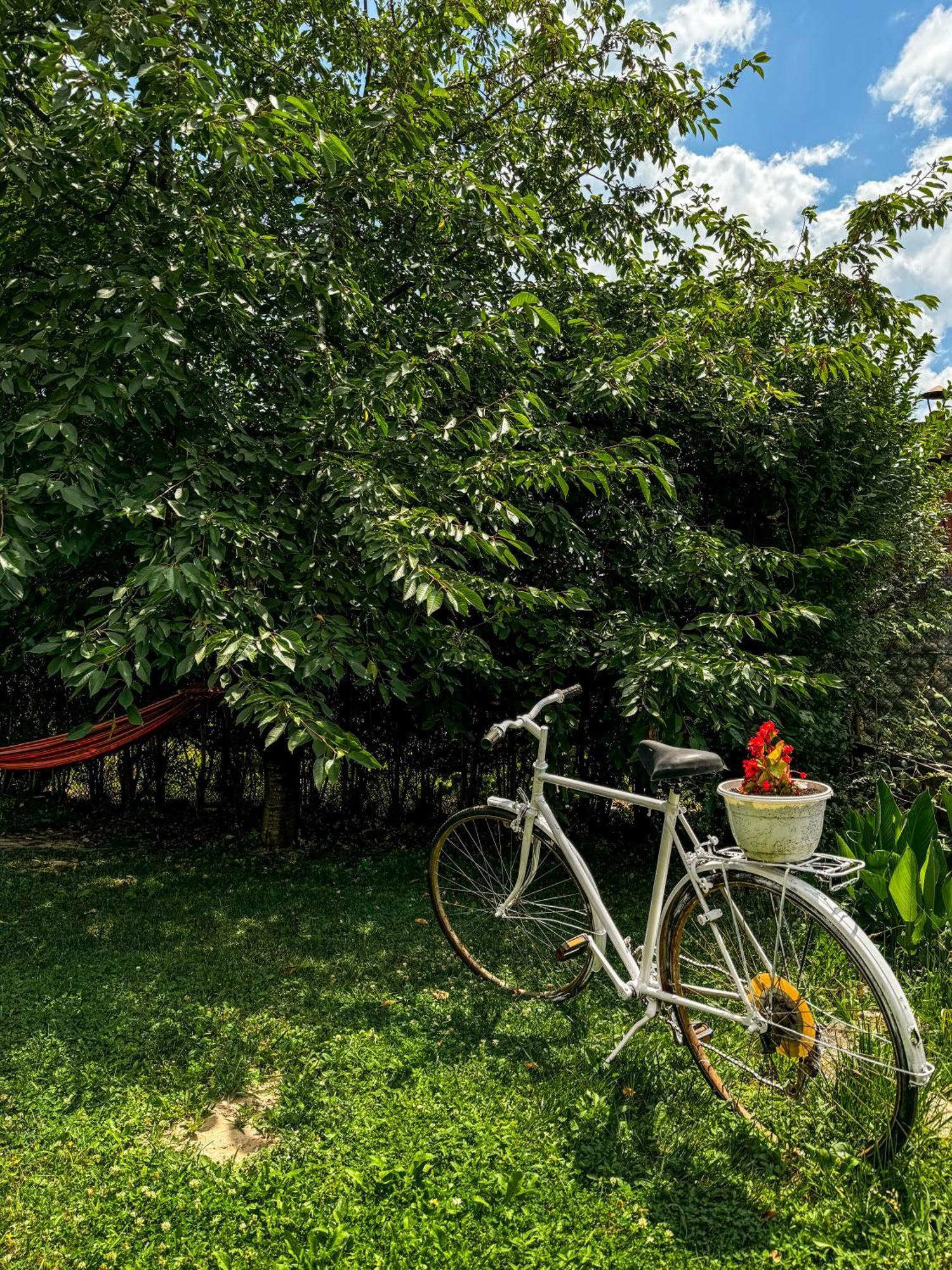 Pensiunea Vila Silva I Haţeg Exterior foto