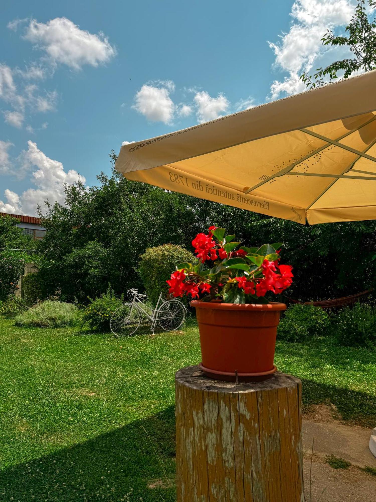 Pensiunea Vila Silva I Haţeg Exterior foto