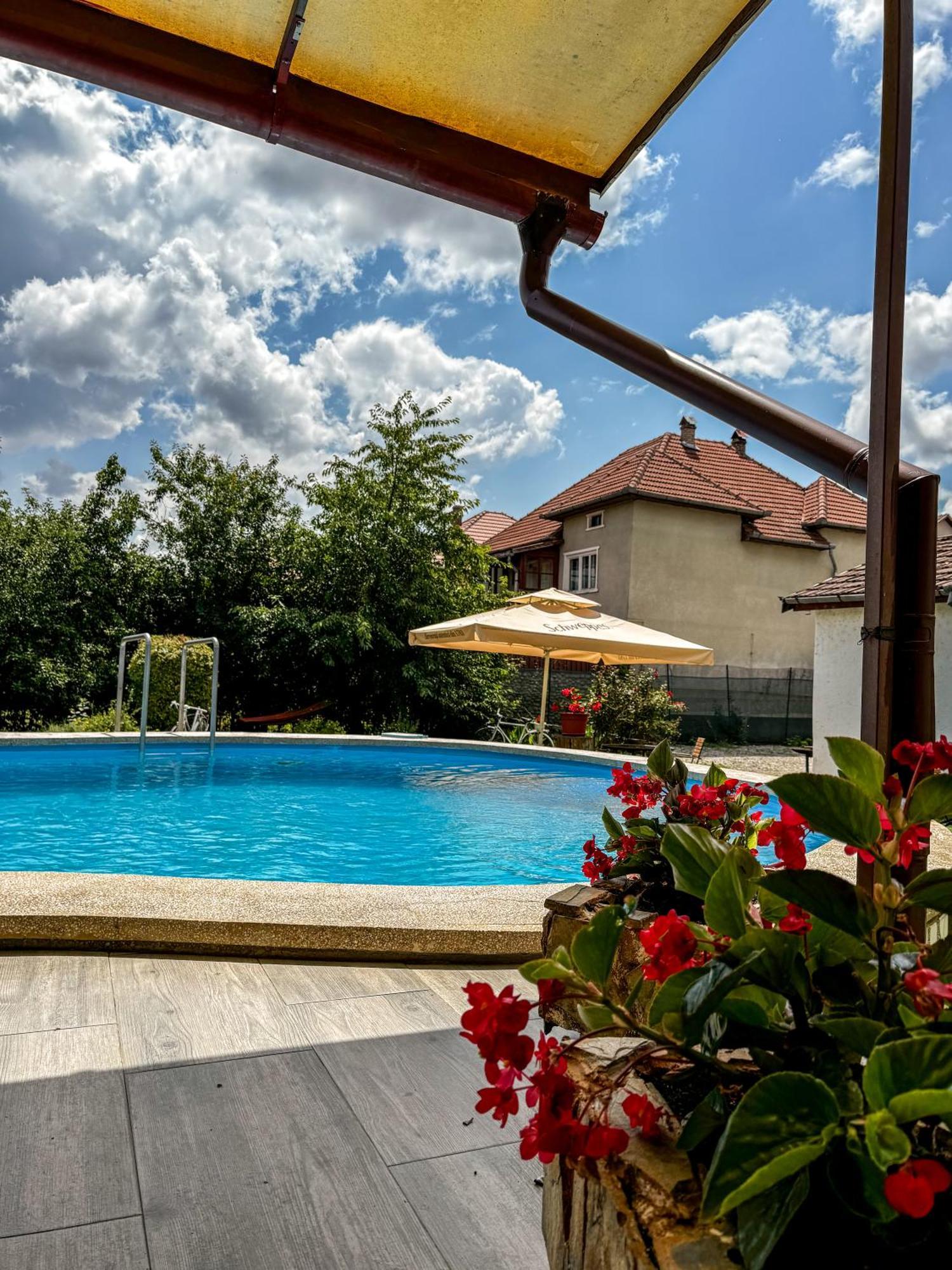 Pensiunea Vila Silva I Haţeg Exterior foto