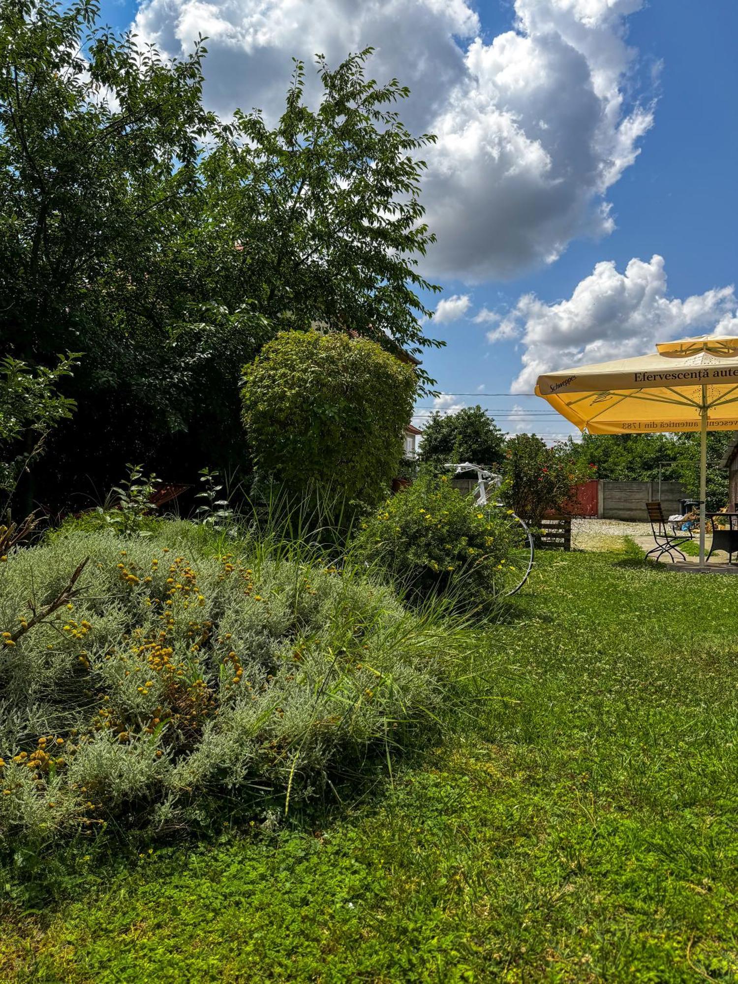 Pensiunea Vila Silva I Haţeg Exterior foto